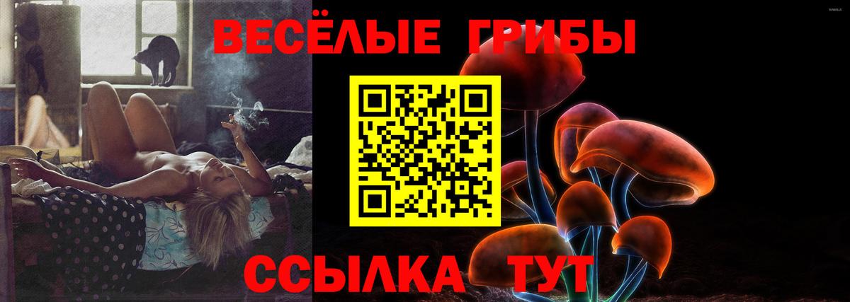 Галлюциногенные грибы прущие грибы Камень-на-Оби